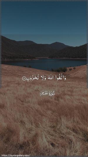 Al-Hijr Ayah 69 - Arabic wallpaper