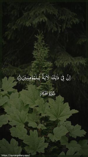 Al-Hijr Ayah 77 - Arabic wallpaper