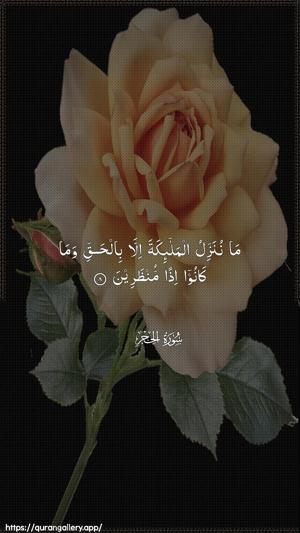 Al-Hijr Ayah 8 - Arabic wallpaper