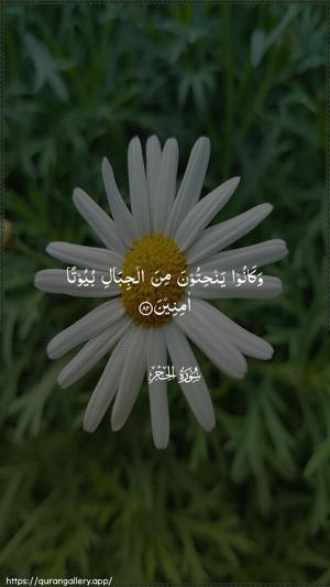 Al-Hijr Ayah 82 - Arabic wallpaper