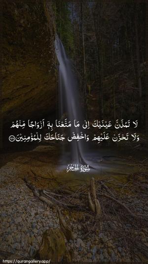 Al-Hijr Ayah 88 - Arabic wallpaper