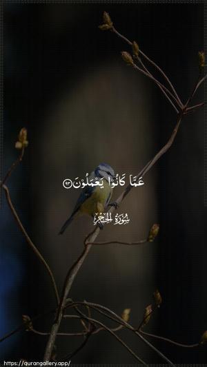 Al-Hijr Ayah 93 - Arabic wallpaper