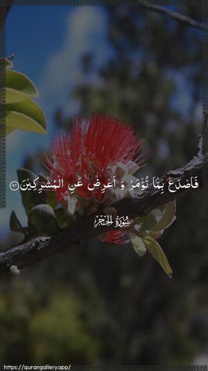 Al-Hijr Ayah 94 - Arabic wallpaper