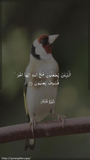 Al-Hijr Ayah 96 - Arabic wallpaper