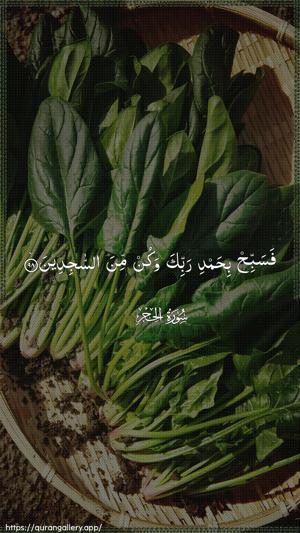 Al-Hijr Ayah 98 - Arabic wallpaper
