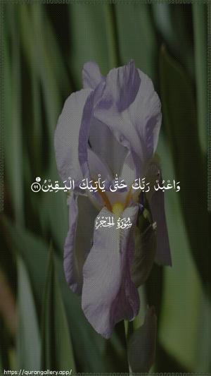 Al-Hijr Ayah 99 - Arabic wallpaper