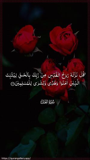 An-Nahl Ayah 102 - Arabic wallpaper