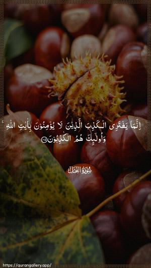 An-Nahl Ayah 105 - Arabic wallpaper
