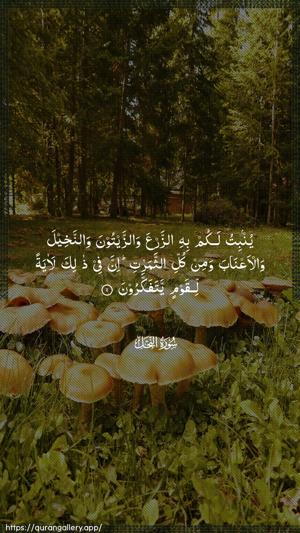 An-Nahl Ayah 11 - Arabic wallpaper