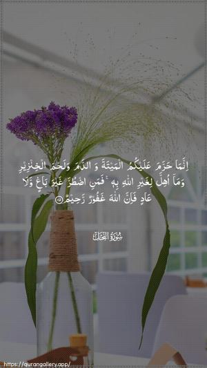An-Nahl Ayah 115 - Arabic wallpaper