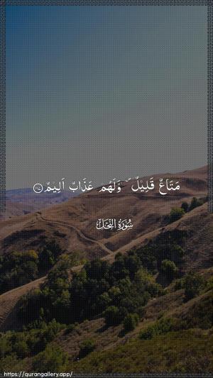 An-Nahl Ayah 117 - Arabic wallpaper