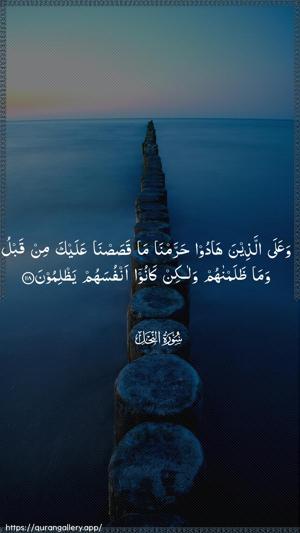 An-Nahl Ayah 118 - Arabic wallpaper