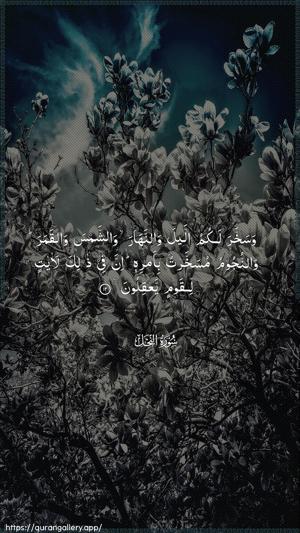 An-Nahl Ayah 12 - Arabic wallpaper
