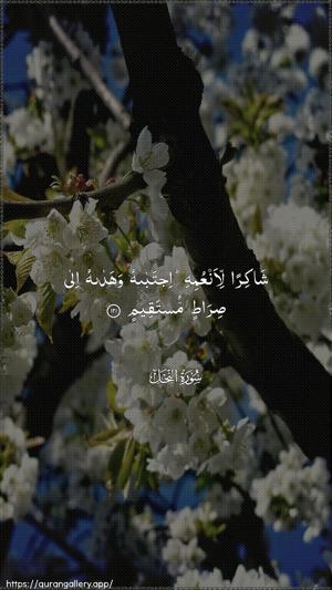 An-Nahl Ayah 121 - Arabic wallpaper