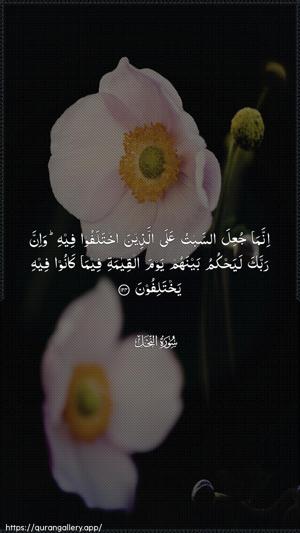 An-Nahl Ayah 124 - Arabic wallpaper