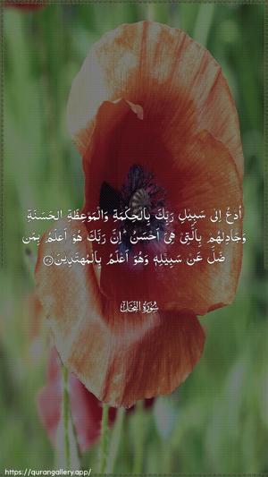 An-Nahl Ayah 125 - Arabic wallpaper