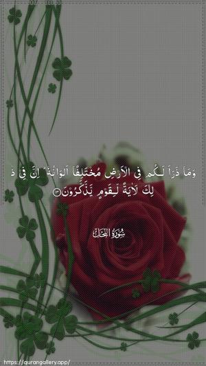An-Nahl Ayah 13 - Arabic wallpaper