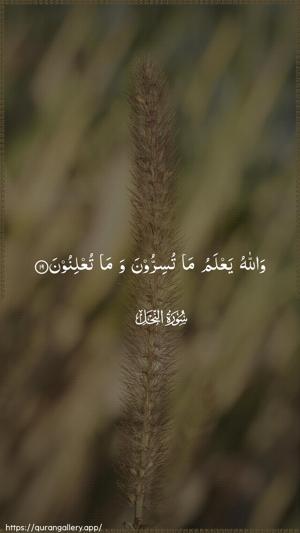 An-Nahl Ayah 19 - Arabic wallpaper
