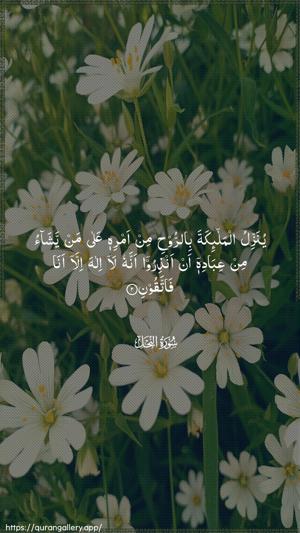 An-Nahl Ayah 2 - Arabic wallpaper