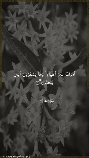 An-Nahl Ayah 21 - Arabic wallpaper