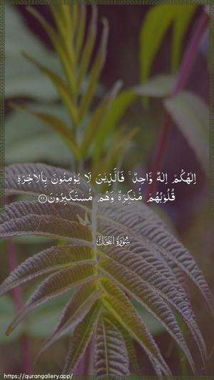 An-Nahl Ayah 22 - Arabic wallpaper