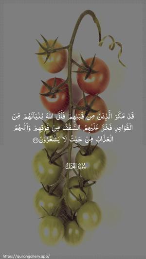 An-Nahl Ayah 26 - Arabic wallpaper
