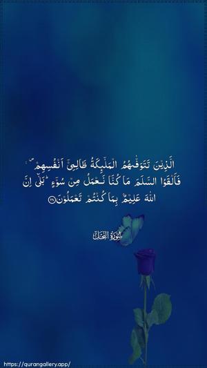 An-Nahl Ayah 28 - Arabic wallpaper