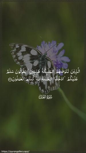 An-Nahl Ayah 32 - Arabic wallpaper