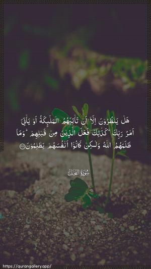 An-Nahl Ayah 33 - Arabic wallpaper