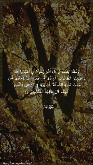 An-Nahl Ayah 36 - Arabic wallpaper