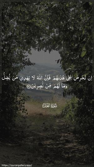 An-Nahl Ayah 37 - Arabic wallpaper