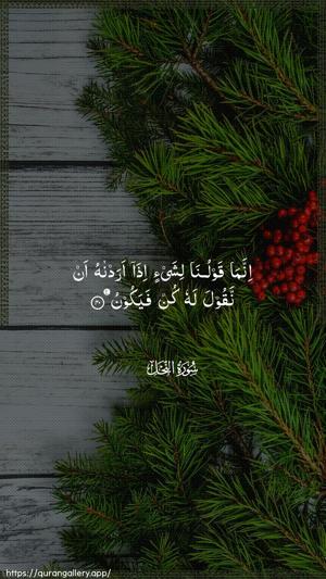 An-Nahl Ayah 40 - Arabic wallpaper