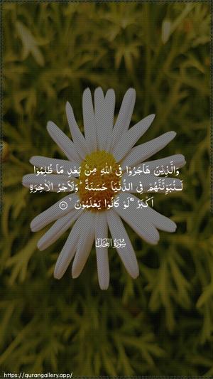 An-Nahl Ayah 41 - Arabic wallpaper