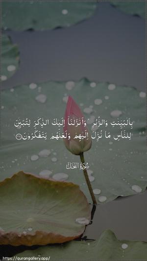 An-Nahl Ayah 44 - Arabic wallpaper