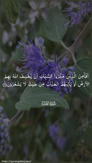 An-Nahl Ayah 45 - Arabic wallpaper