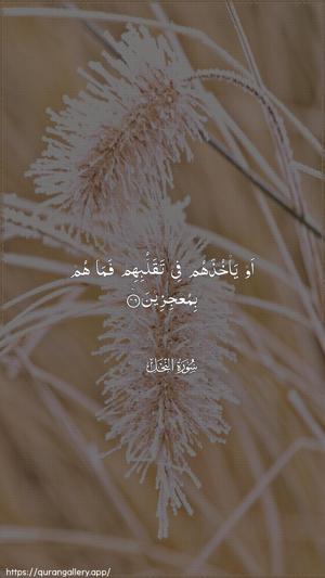 An-Nahl Ayah 46 - Arabic wallpaper