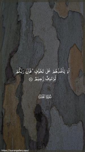 An-Nahl Ayah 47 - Arabic wallpaper