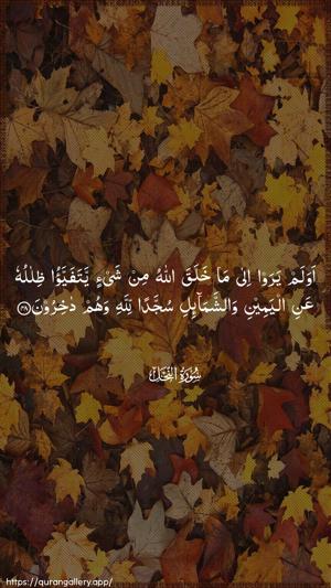 An-Nahl Ayah 48 - Arabic wallpaper