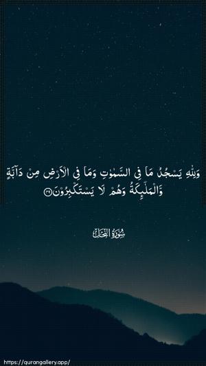 An-Nahl Ayah 49 - Arabic wallpaper