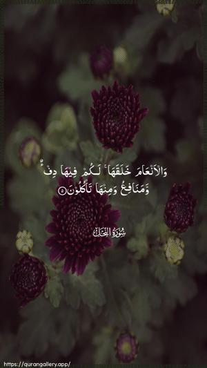 An-Nahl Ayah 5 - Arabic wallpaper