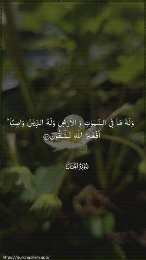 An-Nahl Ayah 52 - Arabic wallpaper