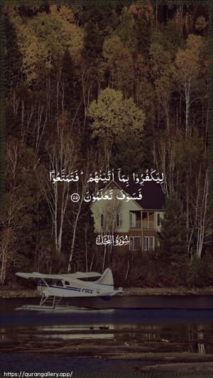 An-Nahl Ayah 55 - Arabic wallpaper