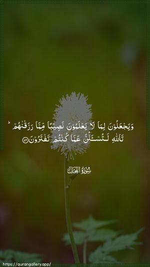 An-Nahl Ayah 56 - Arabic wallpaper