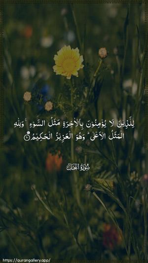An-Nahl Ayah 60 - Arabic wallpaper