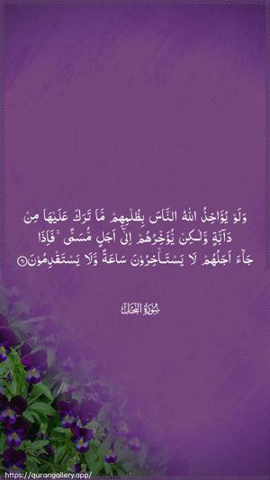 An-Nahl Ayah 61 - Arabic wallpaper