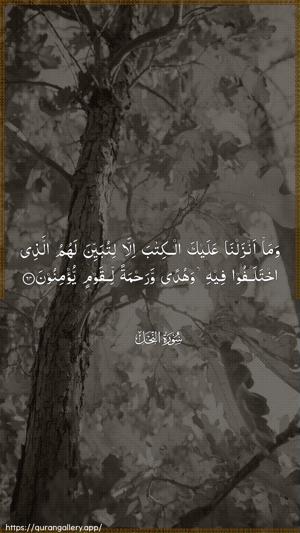 An-Nahl Ayah 64 - Arabic wallpaper