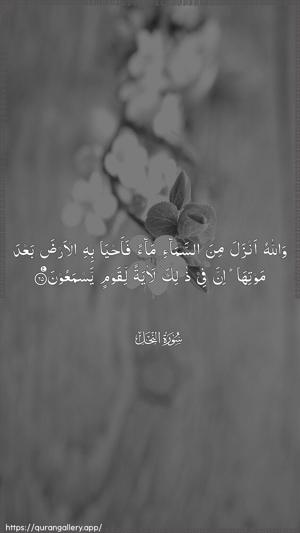 An-Nahl Ayah 65 - Arabic wallpaper