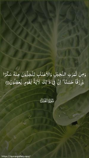 An-Nahl Ayah 67 - Arabic wallpaper