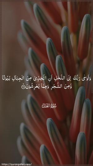 An-Nahl Ayah 68 - Arabic wallpaper