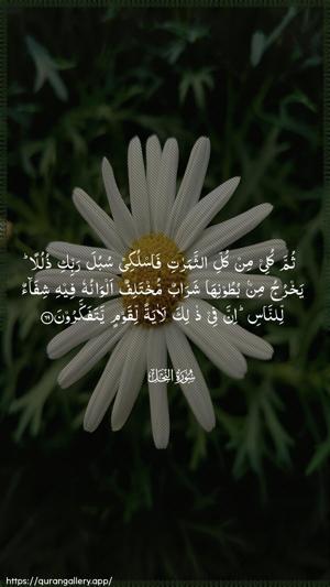 An-Nahl Ayah 69 - Arabic wallpaper